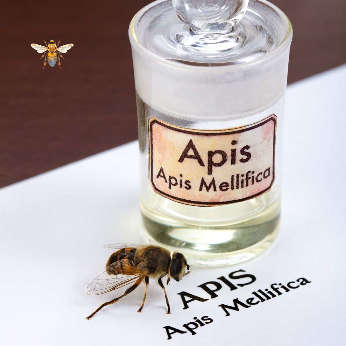 Bienengift
