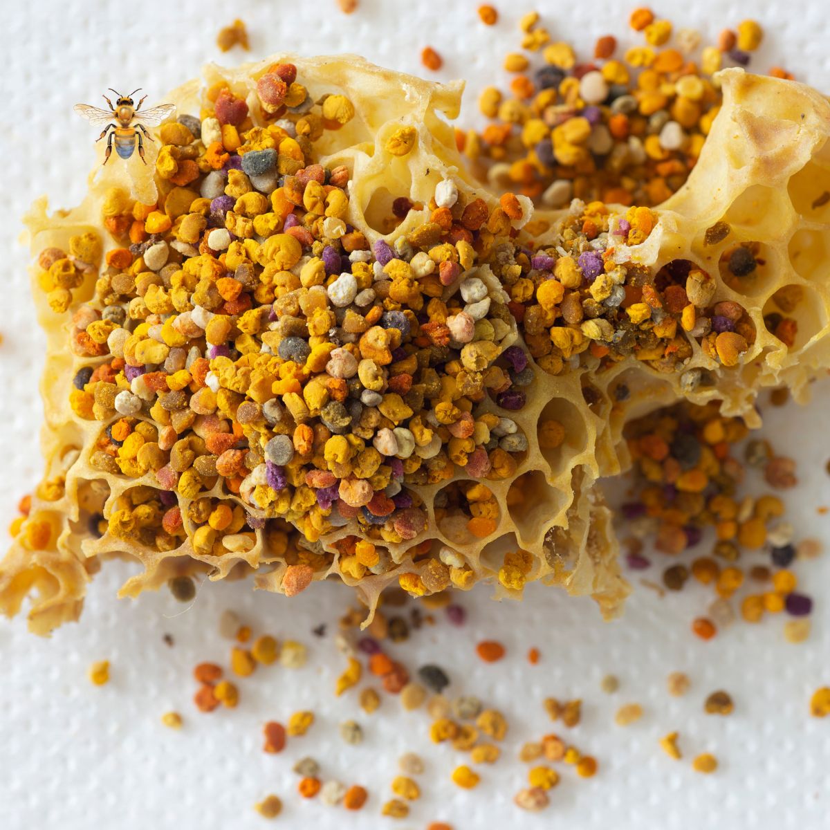 Pollen